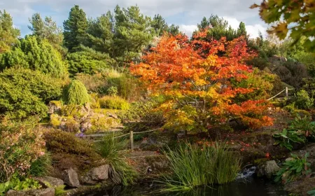Edinburgh botanischer Garten im Herbst