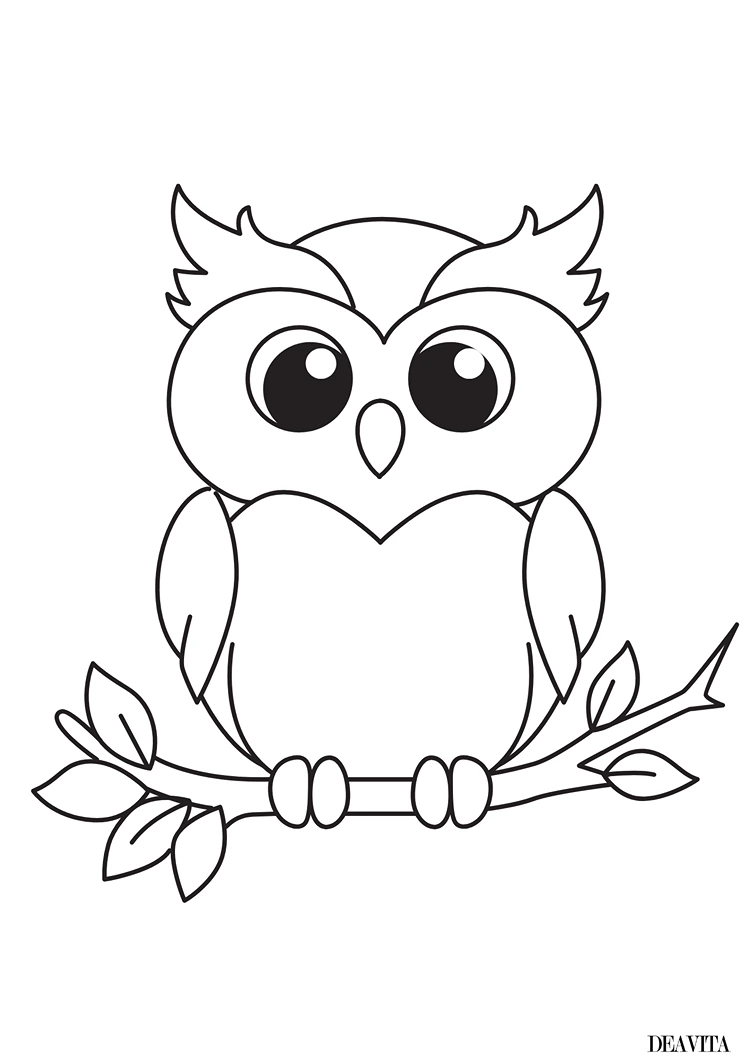 eule vorlage zum ausschneiden