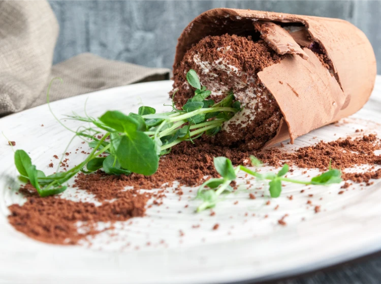 extravagantes dessert „broken flower“ mit schwammkuchen und schokoladenboden