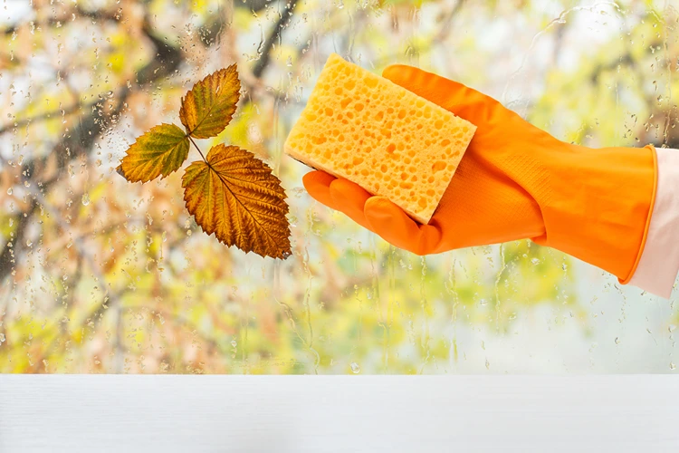 fenster putzen im herbst hand mit schwamm und buntem laub im hintergrund