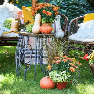 gemütliche sitzecke mit herbstkissen und kürbisdeko