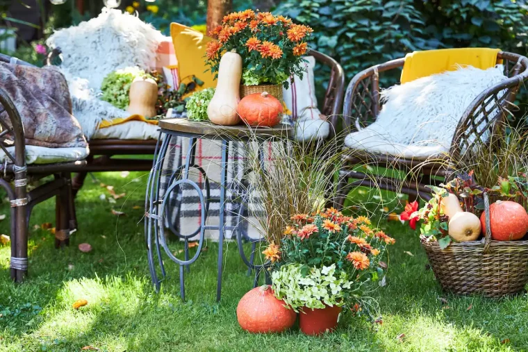 gemütliche sitzecke mit herbstkissen und kürbisdeko