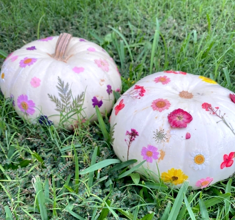 Gepresste Blüten in romantischen Farben für Farbtupfer im Herbst