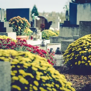 Grabgestaltung mit Chrysanthemen im Herbst - Pflege und Pflanzpartner