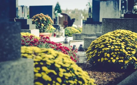 Grabgestaltung mit Chrysanthemen im Herbst - Pflege und Pflanzpartner