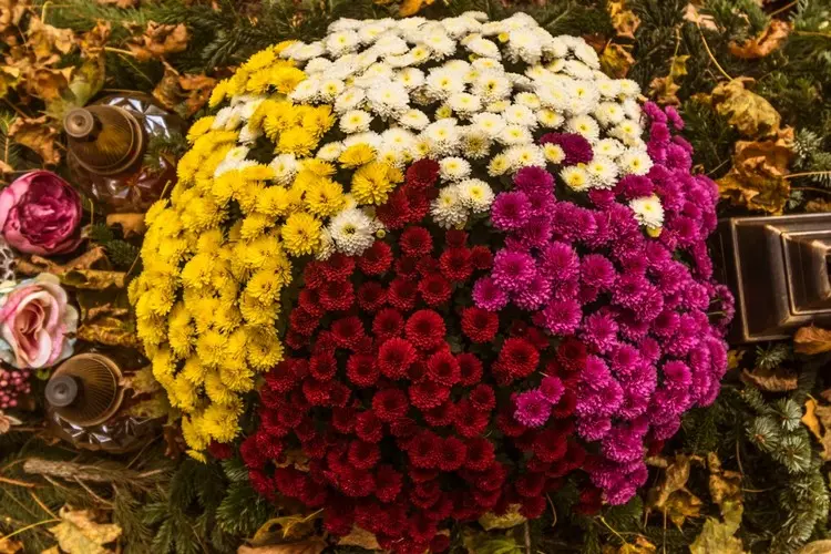 Grabgestaltung mit Chrysanthemen in verschiedenen Farben für den Herbst