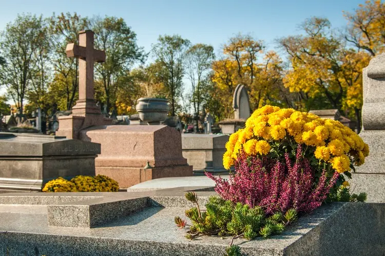 Grabgestaltung mit Chrysanthemen und Pflanzpartnern wie Heidekraut, Ziergräser, Silberblatt oder Sukkulenten