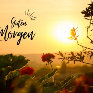 guten morgen einen schönen donnerstag