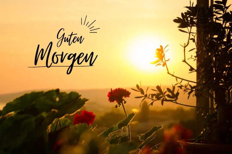 guten morgen einen schönen donnerstag