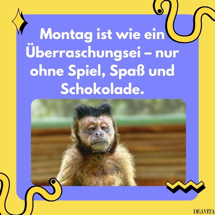 guten morgen montag bilder lustig zum herunterladen