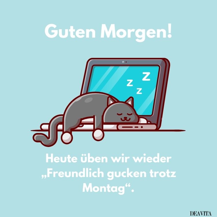 guten morgen montag lustige bilder kostenlos
