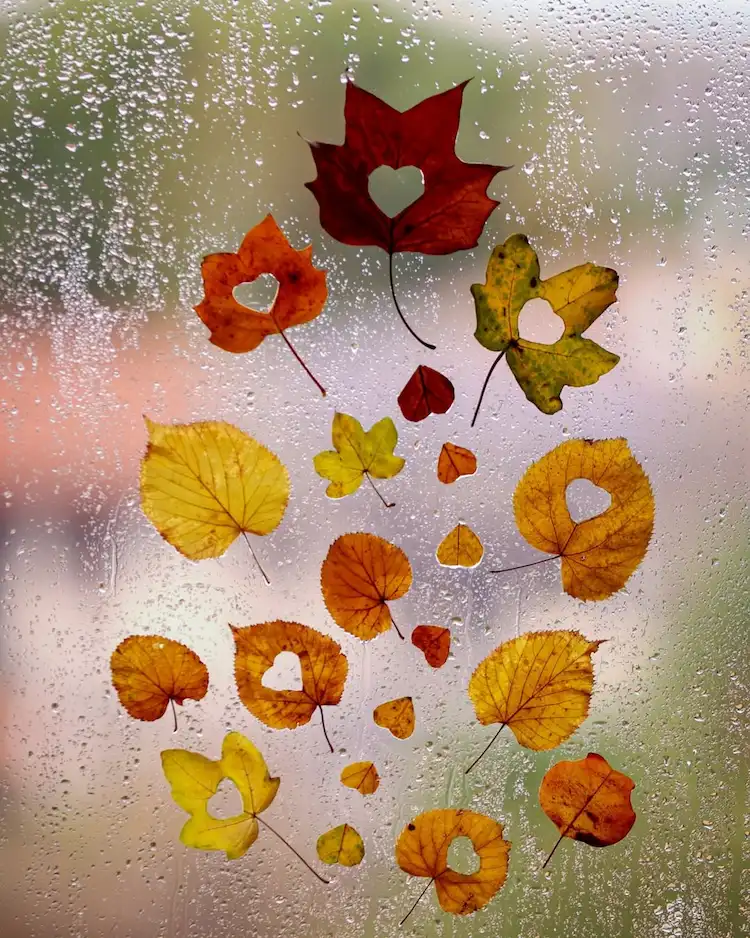 Herbstblätter in bestimmten Formen ausschneiden Anleitung
