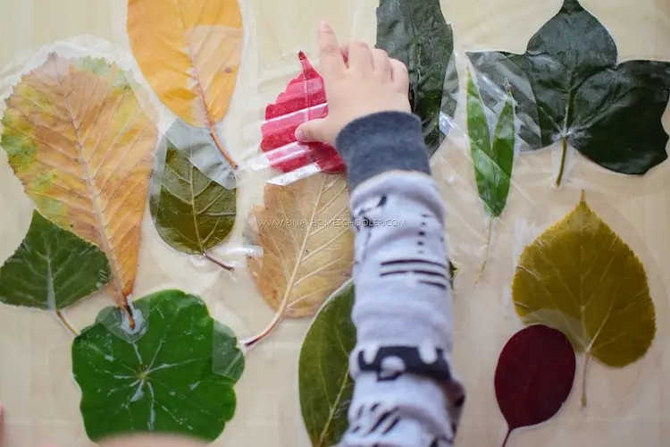 Herbstblätter laminieren verschiedene Bastelideen