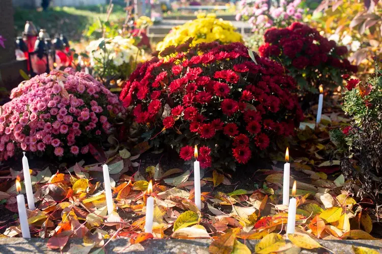 Herbstchrysanthemen mit Kerzen und anderer Deko kombinieren