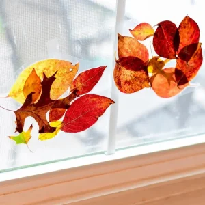 Herbstdeko Ideen für die Fenster aus Herbstblättern