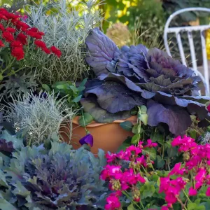 Herbstgarten Trends für 2025 und Winter 2026 bei der Pflege