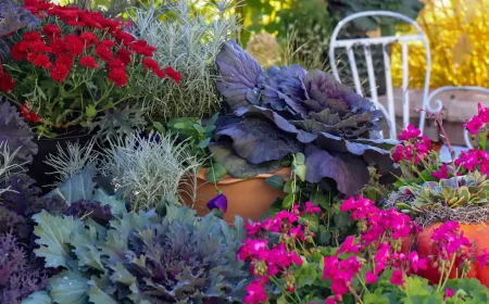 Herbstgarten Trends für 2025 und Winter 2026 bei der Pflege