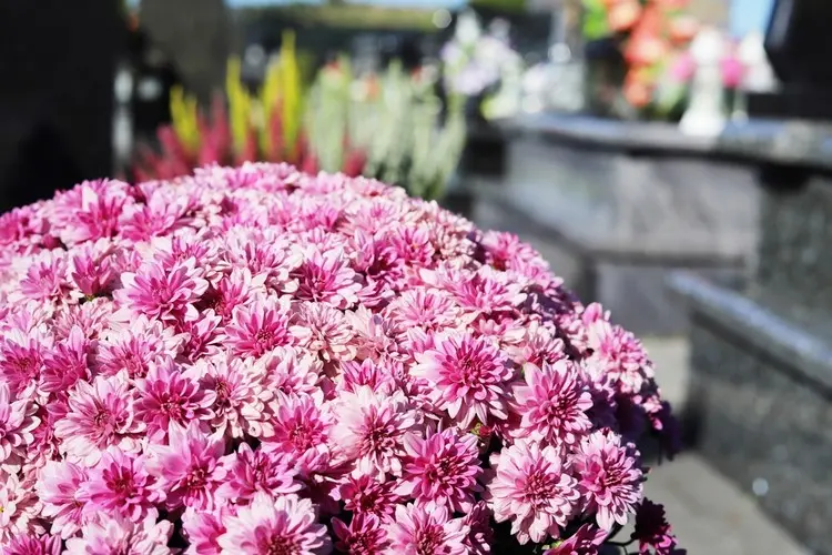 Herbstgestaltung mit Blumen in verschiedenen Farben