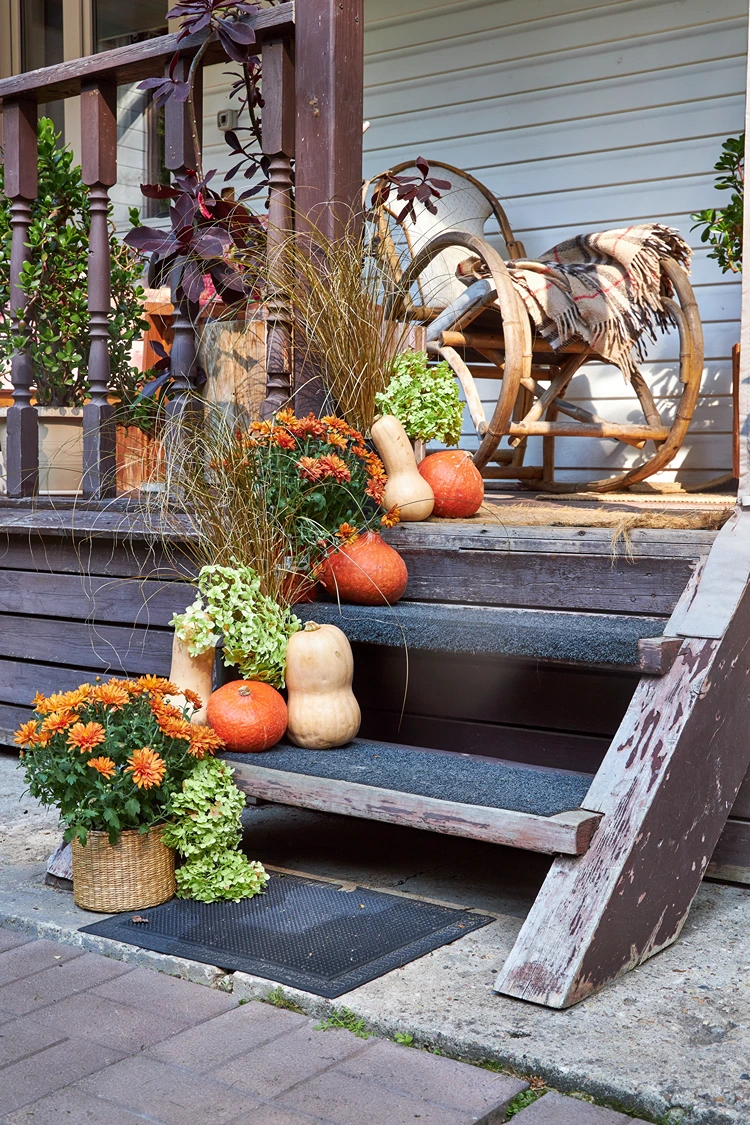 herbstlich geschmückter hauseingang mit chrysanthemen und kürbissen