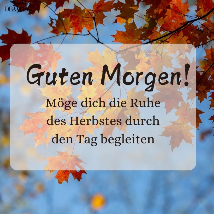 Herbstliche Grüße kostenlos verschicken mit Bildern und inspirierenden Sprüchen