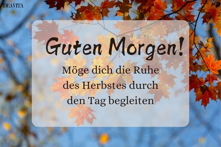Herbstliche Grüße kostenlos verschicken mit Bildern