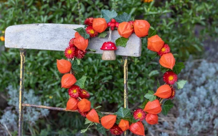 herbstlicher kranz in orange aus lampionblumen mit dekorativem pilz