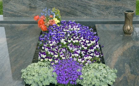 Ideen für pflegeleichte Grabbepflanzung mit Stiefmütterchen im Herbst und Frühling