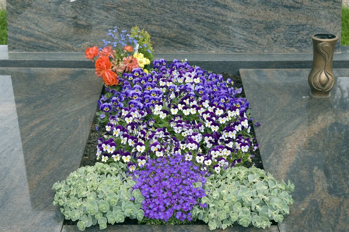 Ideen für pflegeleichte Grabbepflanzung mit Stiefmütterchen im Herbst und Frühling
