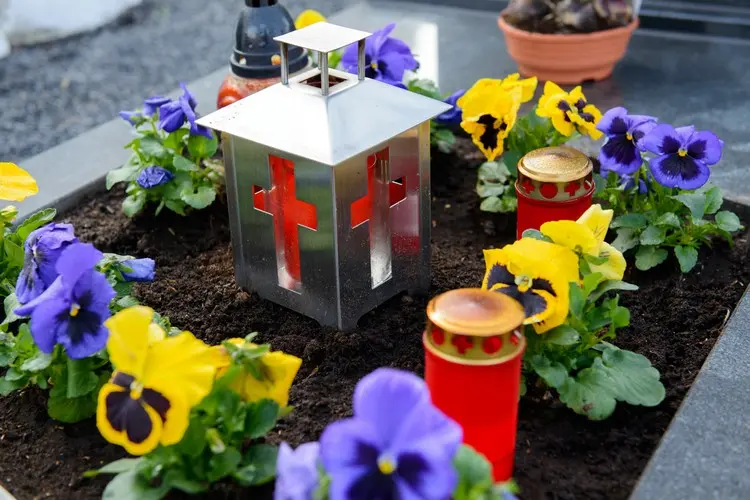 Ideen für pflegeleichte Grabbepflanzung mit Stiefmütterchen und Grablichtern