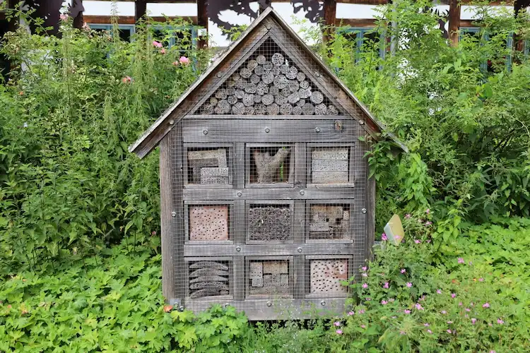 Insektenhotel im Winter nutzen Tipps 