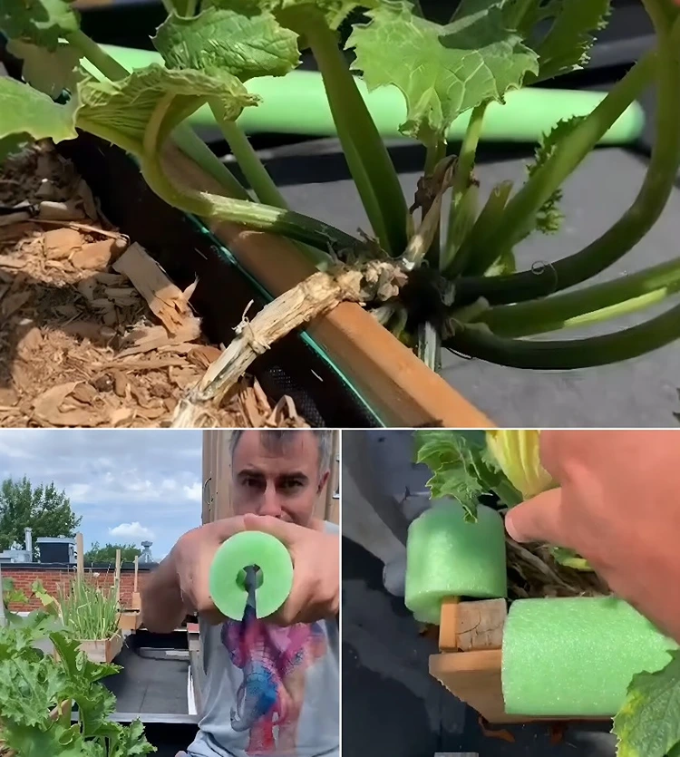 Kanten in Hochbeeten buffern, um Verletzungen bei Kindern und Pflanzen zu vermeiden