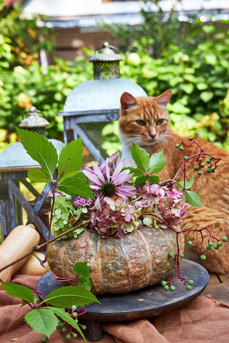 kreative tischdeko kürbis als blumenvase mit hortensien und sonnenhut