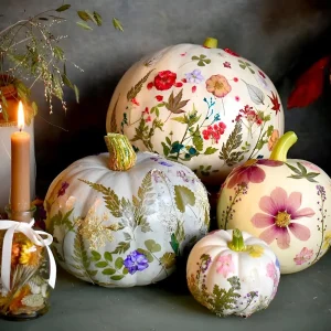 Kürbis mit Blumen dekorieren - Gepresste Blüten für romantische Herbstdeko