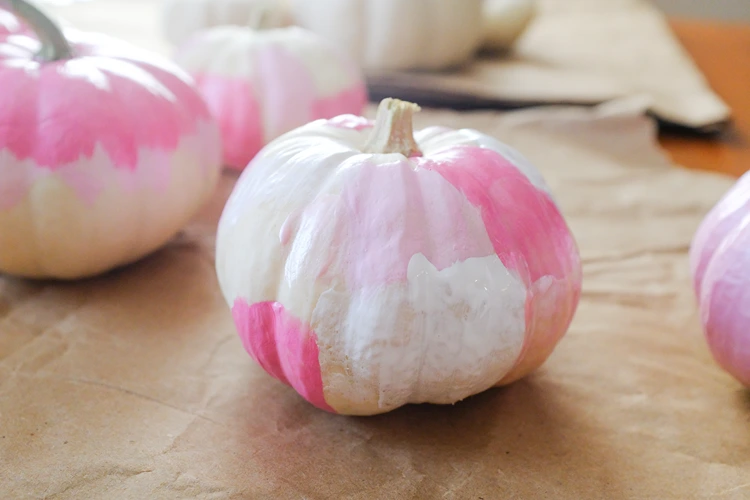 kürbisse in weiß und rosa herbstdeko