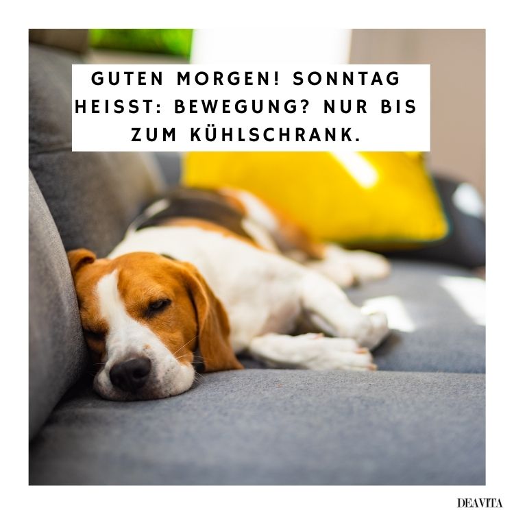 lachen lustig guten morgen sonntag