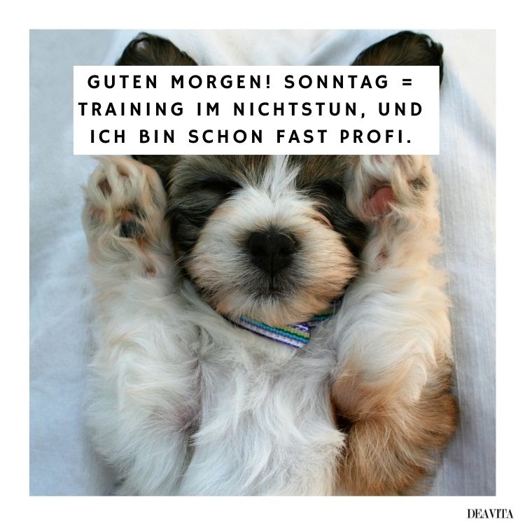 lustige bilder sonntag kostenlos zum herunterladen