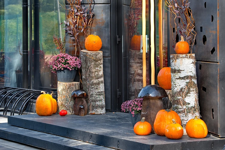 moderner hauseingang mit kürbissen und herbstlichen pflanzen dekorieren