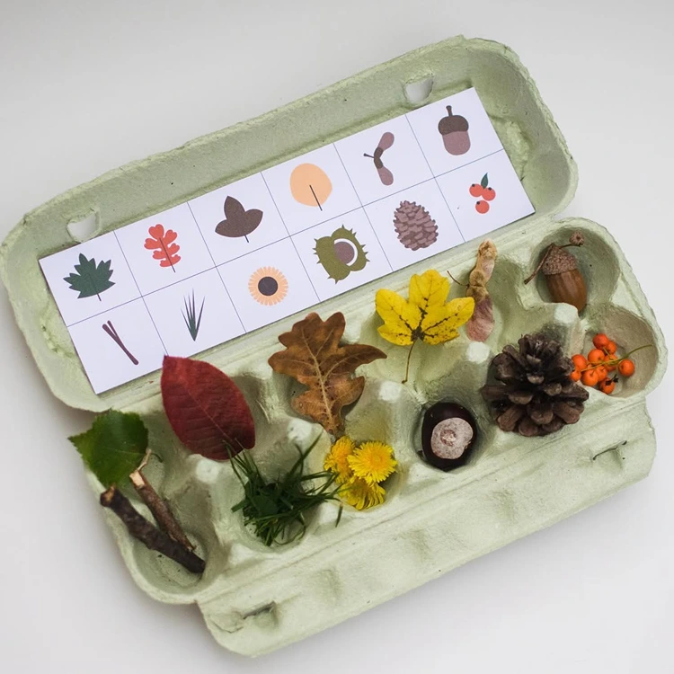 schatzsuche eierkarton – naturmaterialien sammeln mit kindern