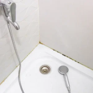 schimmel an badfugen als ursache für üble gerüche