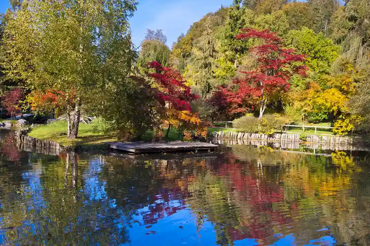 schöne Spaziergänge in botanischen Gärten im Herbst Slovenia Arboretum