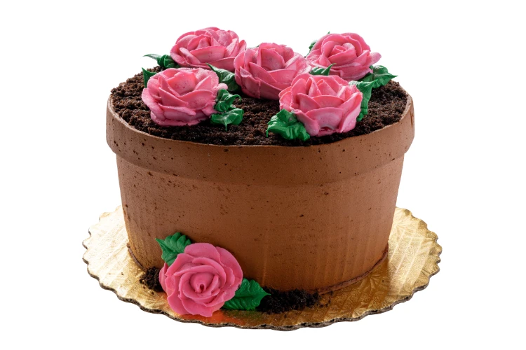 schokoladenkuchen geformt, wie topfpflanze mit rosa rosen und schokoladenboden