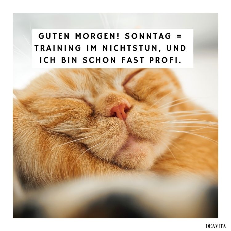 sonntagsgrüße lustig guten morgen sonntag zum teilen