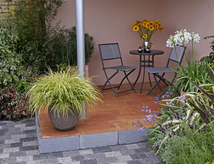 Verschiedene Seggen sind für schattige Standort e und Nordseiten geeignet