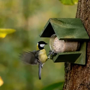 Vogelfutter Blaumeisen selber machen Rezepte