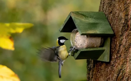 Vogelfutter Blaumeisen selber machen Rezepte