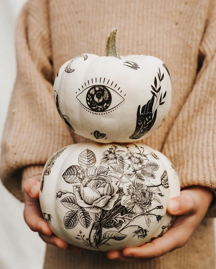 weiße kürbisse mit filigranen zeichnungen in schwarz