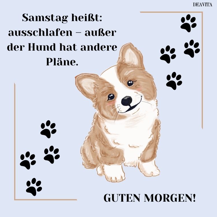 wochenende guten morgen samstag lustig wenn hund andere pläne hat