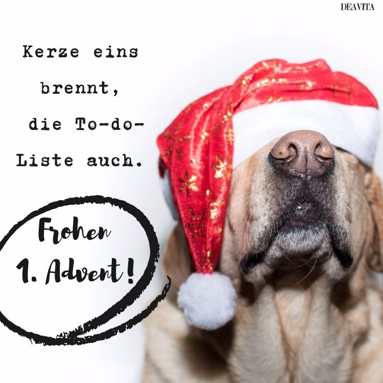1 advent sprüche lustig kostenlos whatsapp