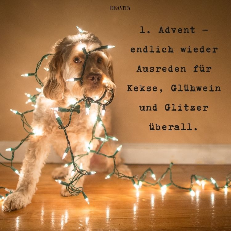 1 advents sprüche lustig bilder whatsapp