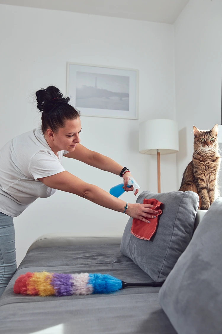 couch reinigen – polsterpflege vor der heizsaison